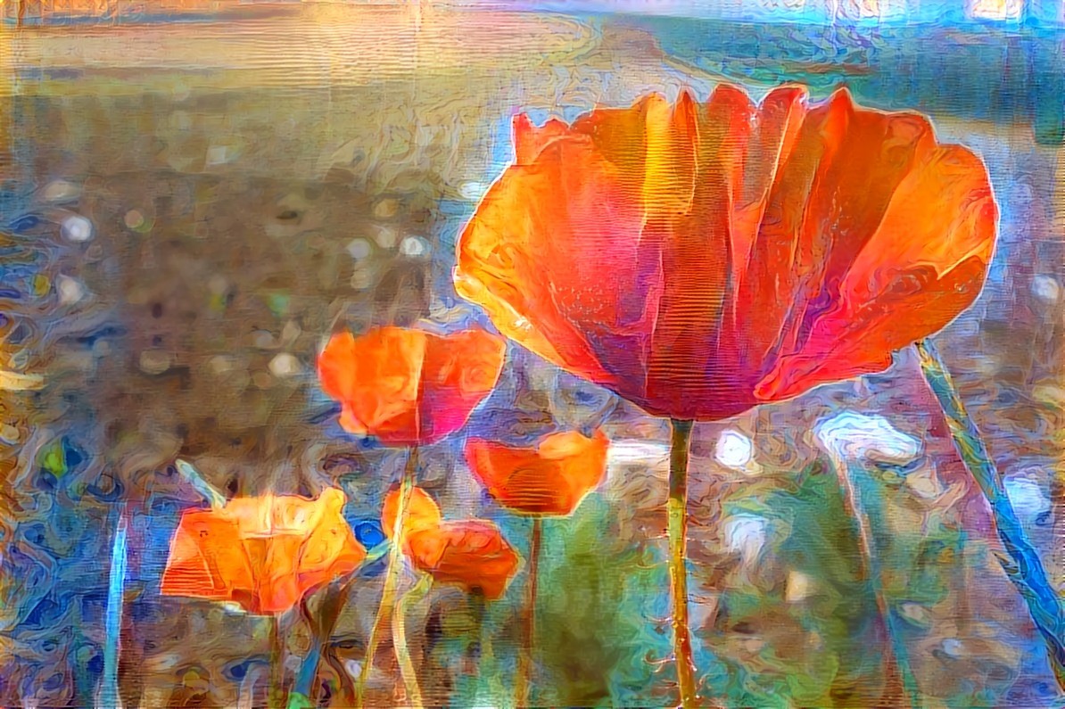 Poppy 9 abstract 89_3