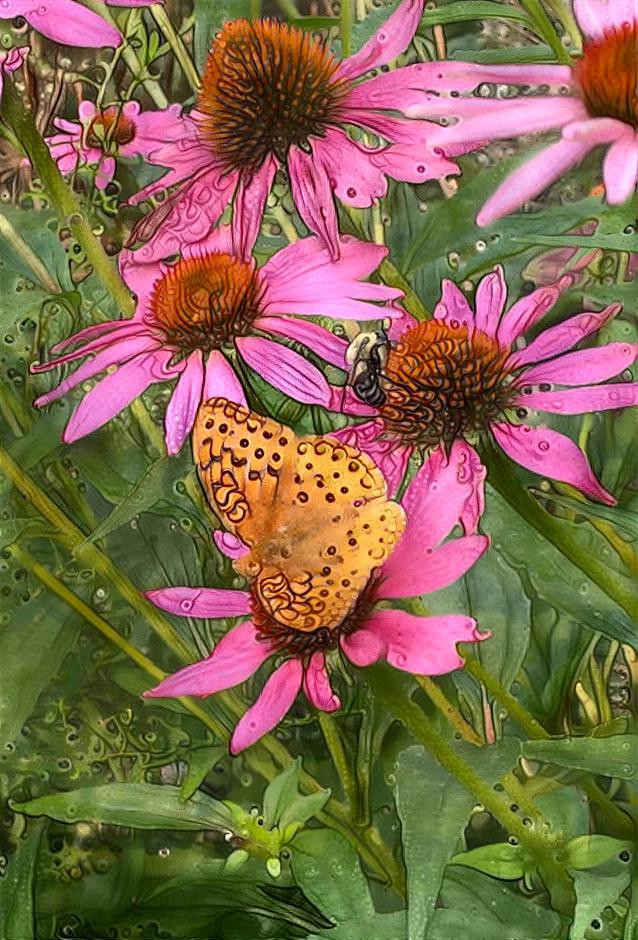 Summer Flowers