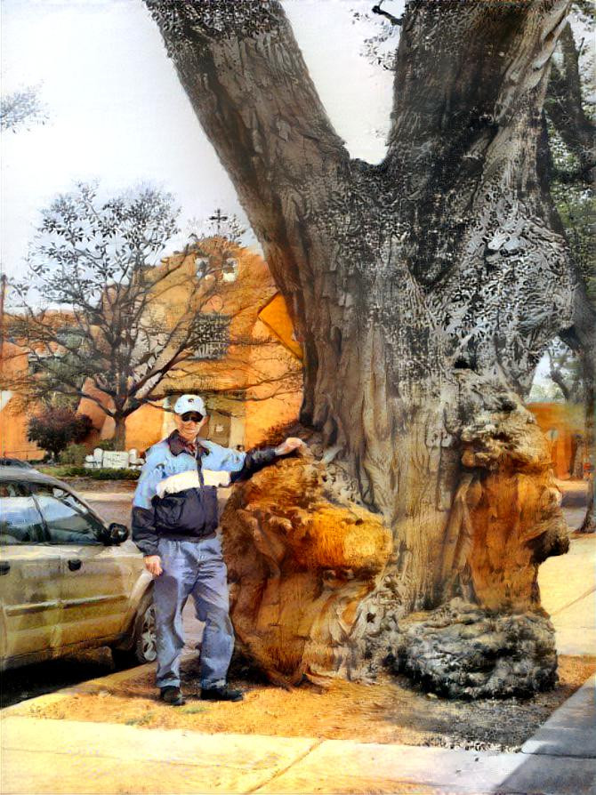 Next to BIG Tree - Los Alamos, New Mexico