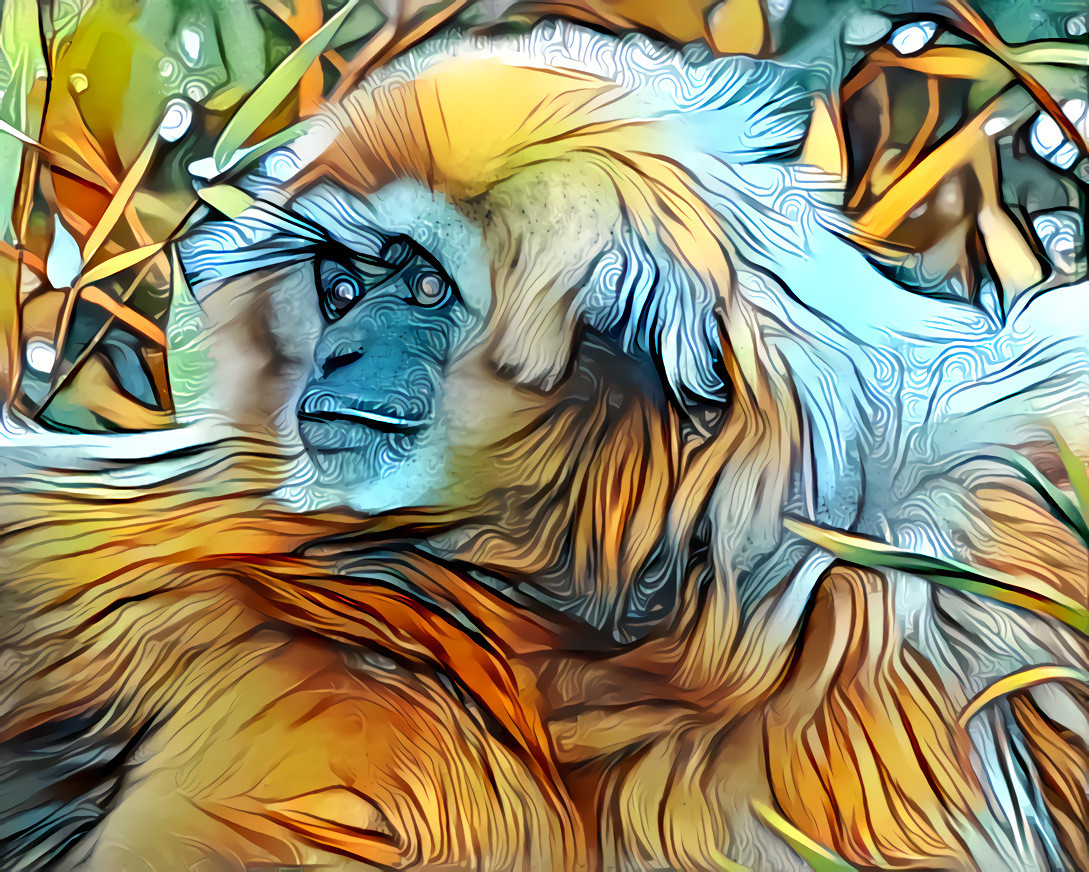 Gibbon