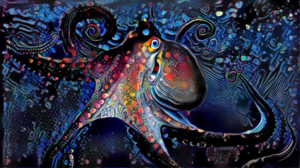 Octopus