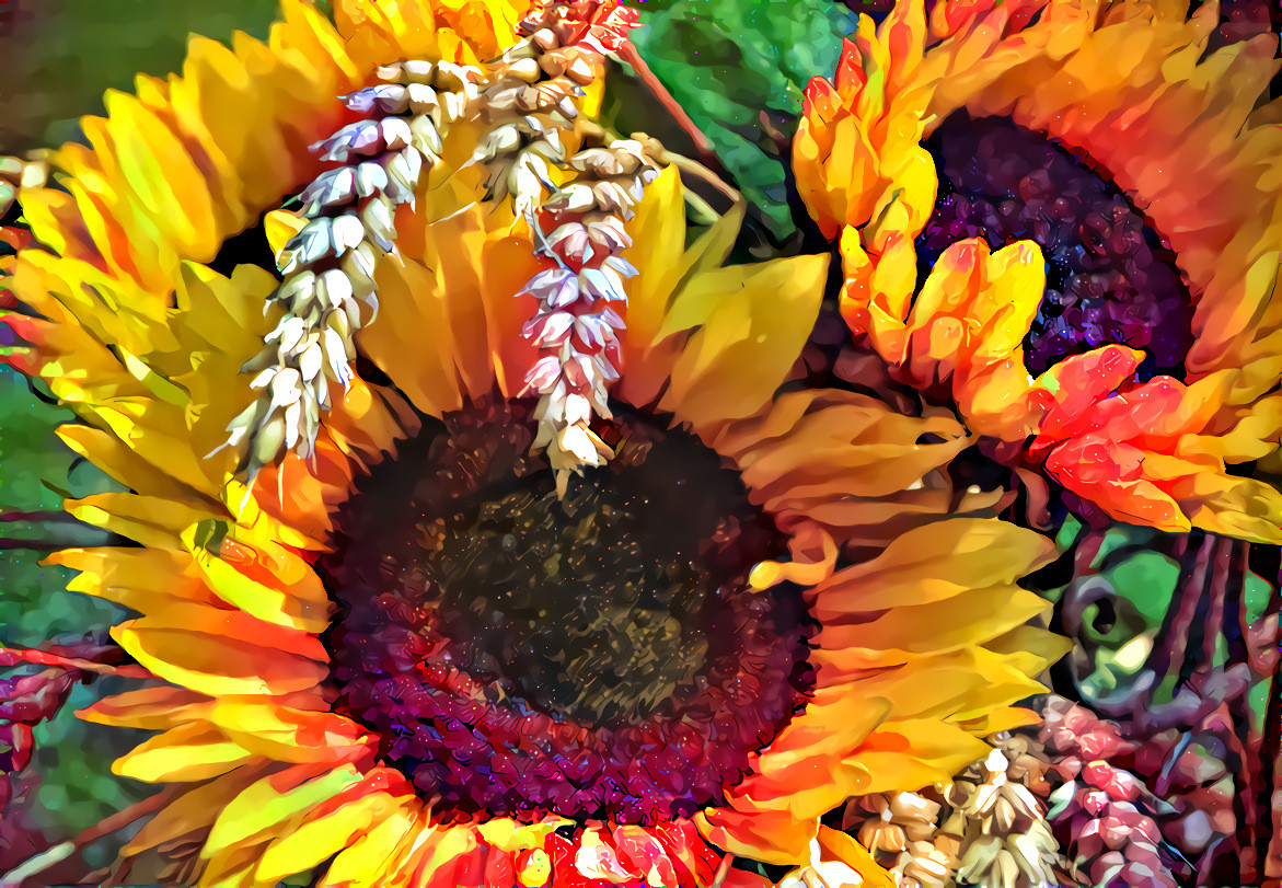 Sunflowers with wheat