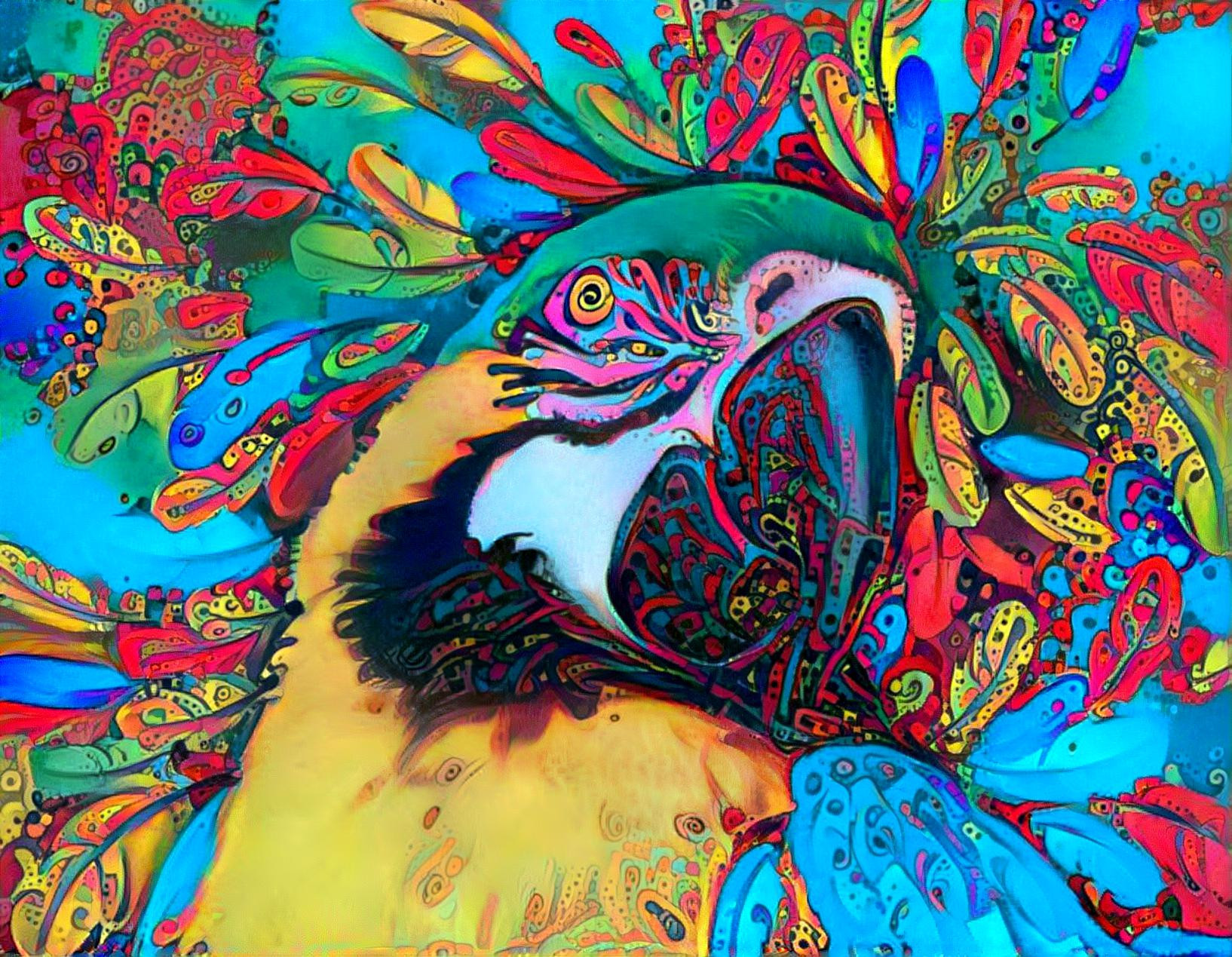 Magical Macaw 