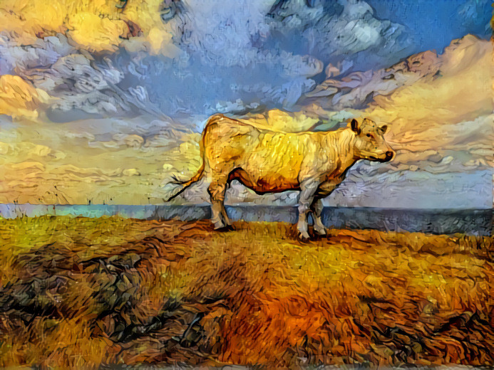 Cow