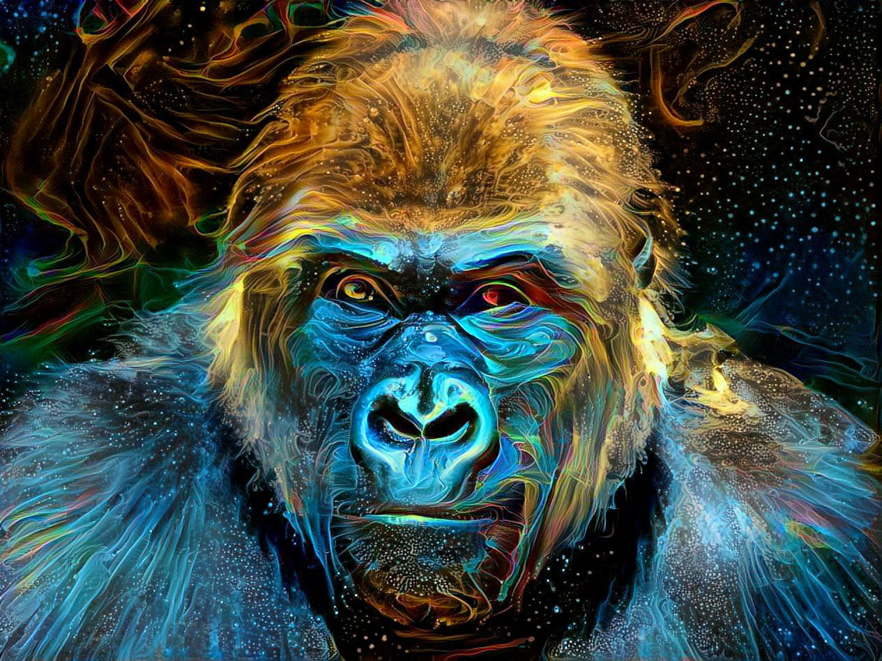 Gorilla 