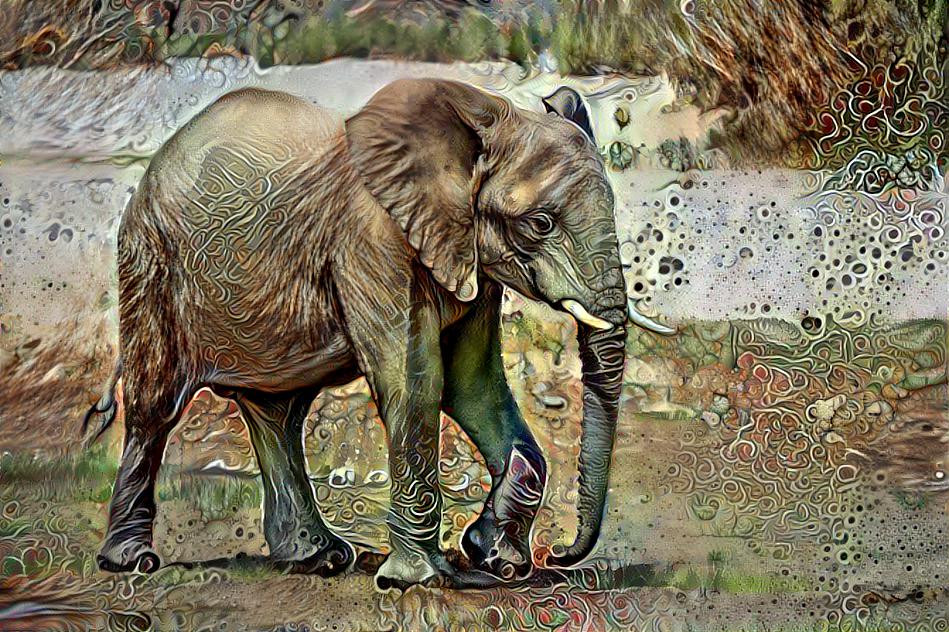 Elephant