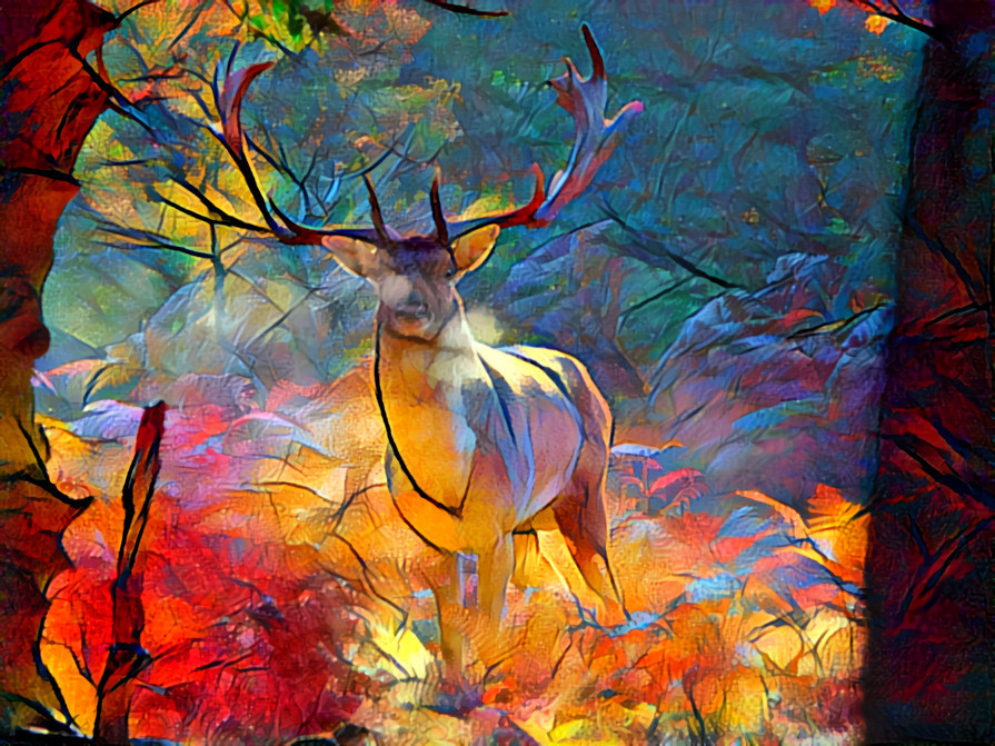 Fallow buck