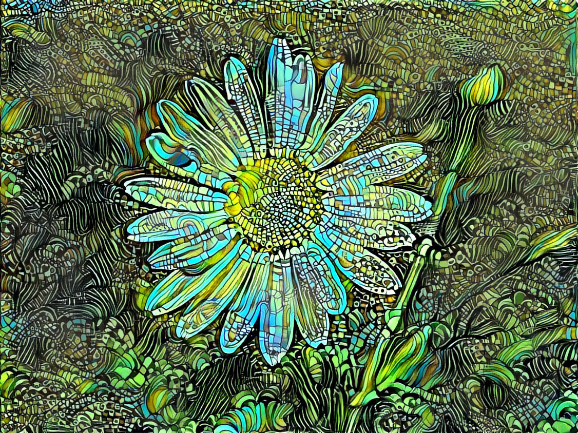 Daisy 3 MA_illustration_starry_night_(24167017719)_4