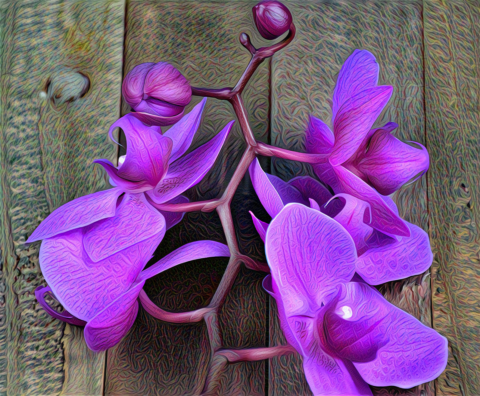 Purple Orchid by the fence