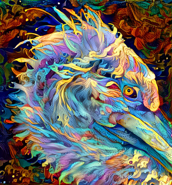 Bird