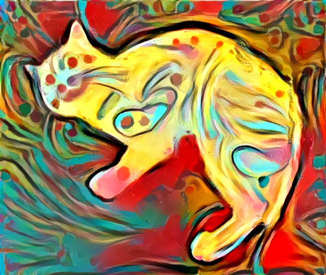 Colorful Cat