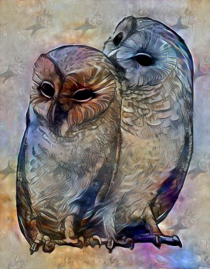 owls