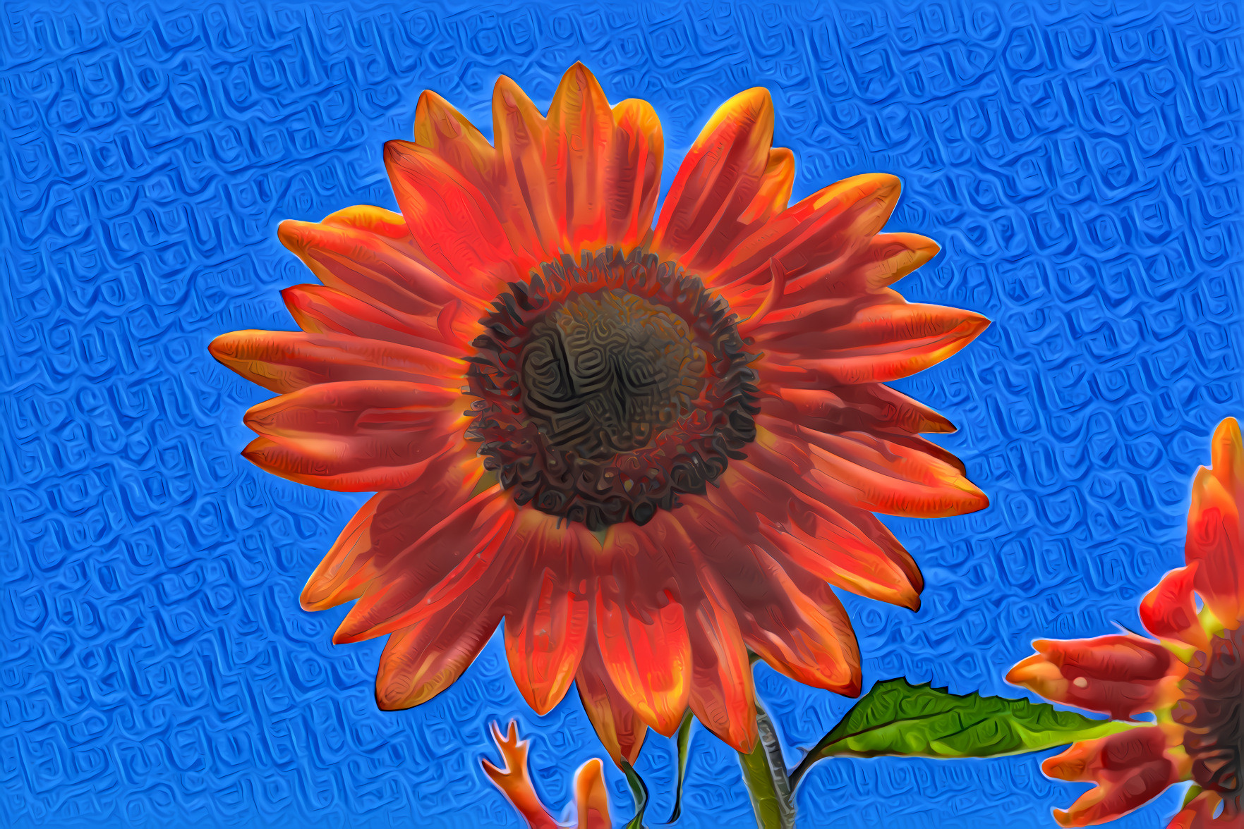 Red Sunflower, Blue Sky