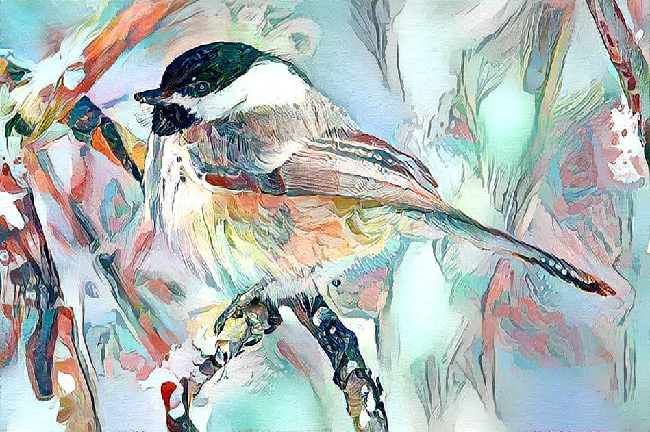 chickadee