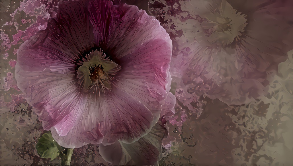 Abstract Pink Flower