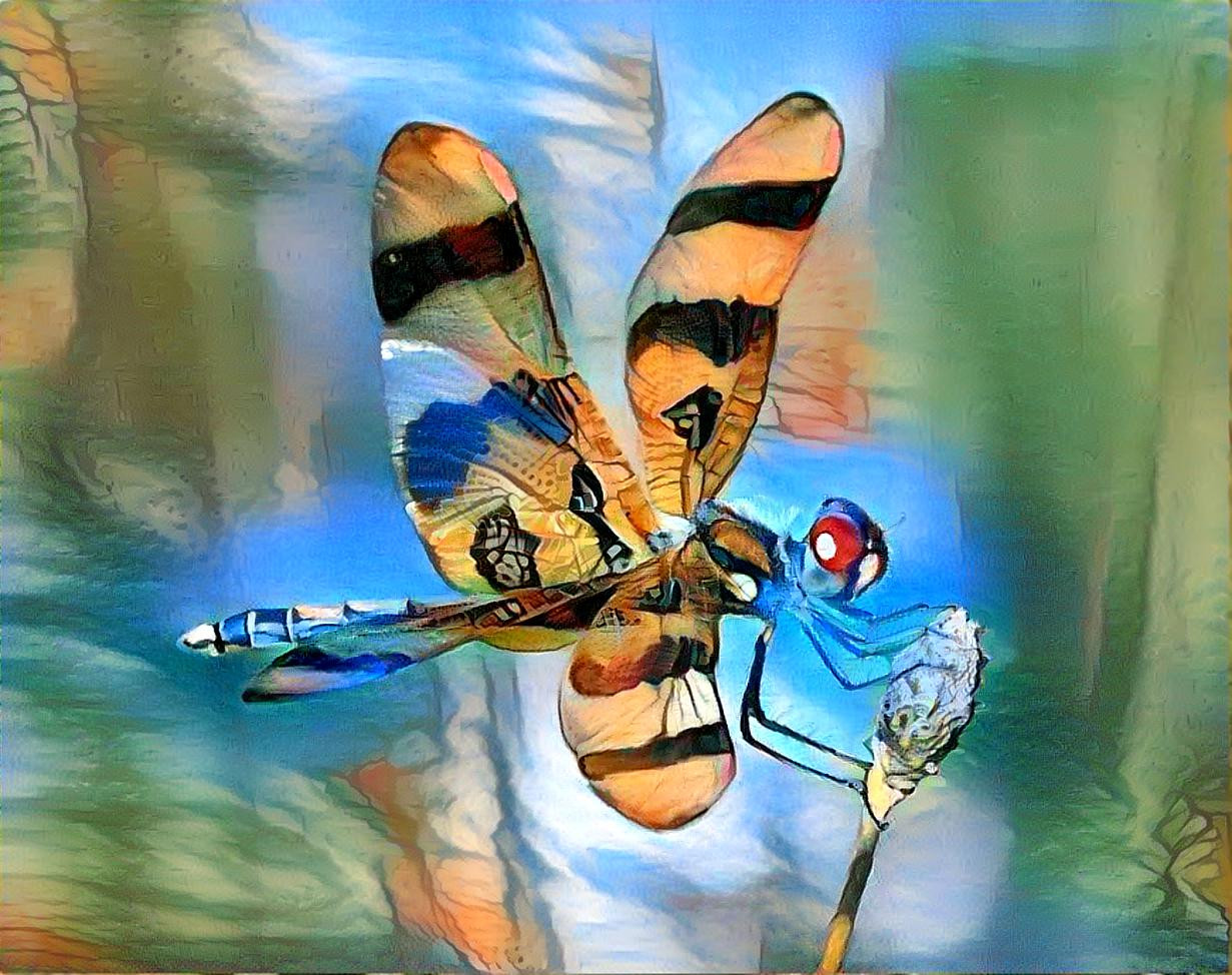 Dragonfly