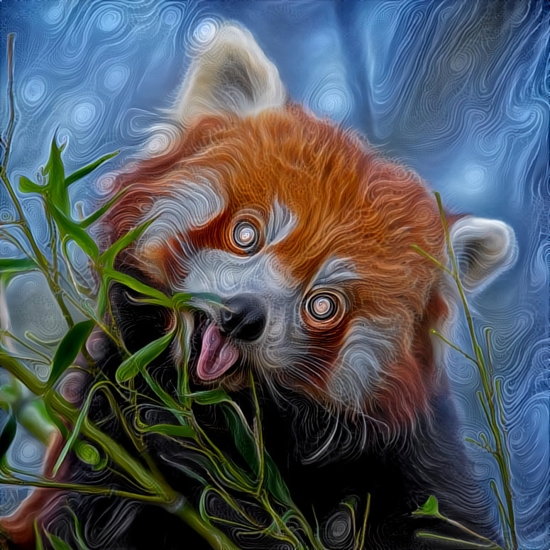 The Red Panda