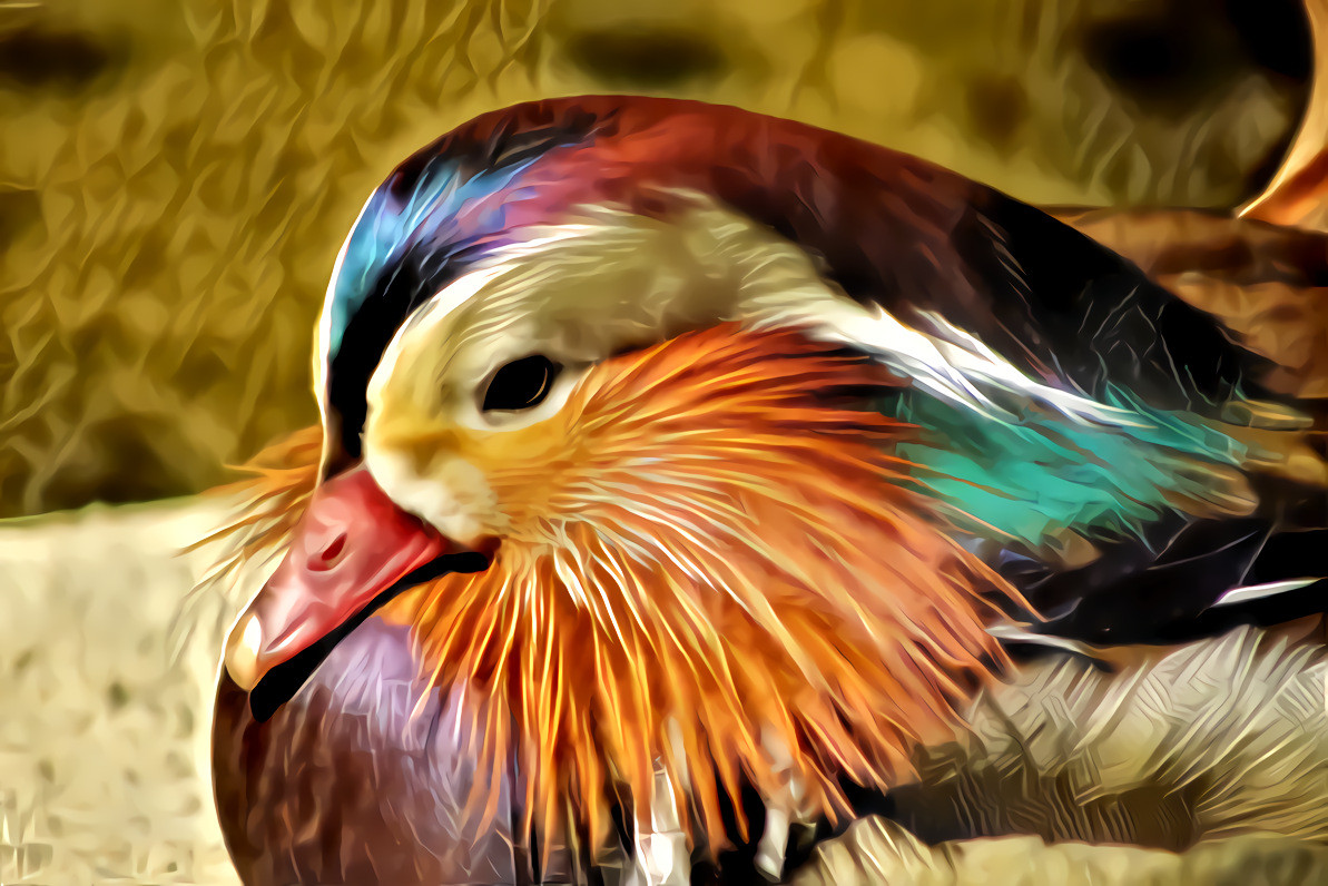 Mandarin