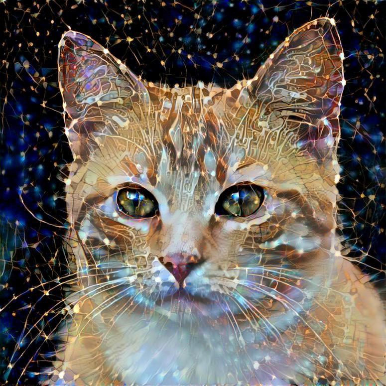 Style: Picture by geralt (Pixabay) ; Photo: StyleGAN2 generated cat