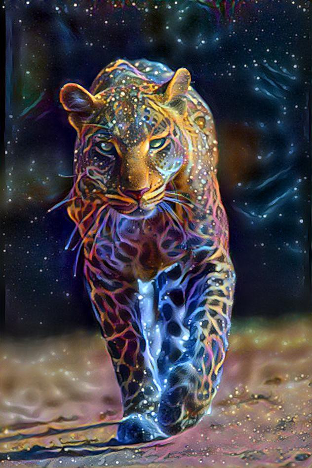 Cosmic Wonderer Leopard