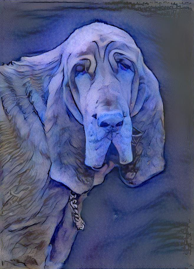 My bloodhound girl Iranda