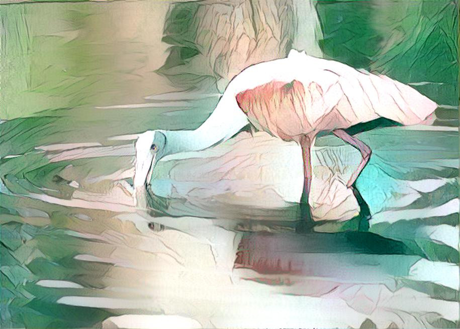 Roseate spoonbill