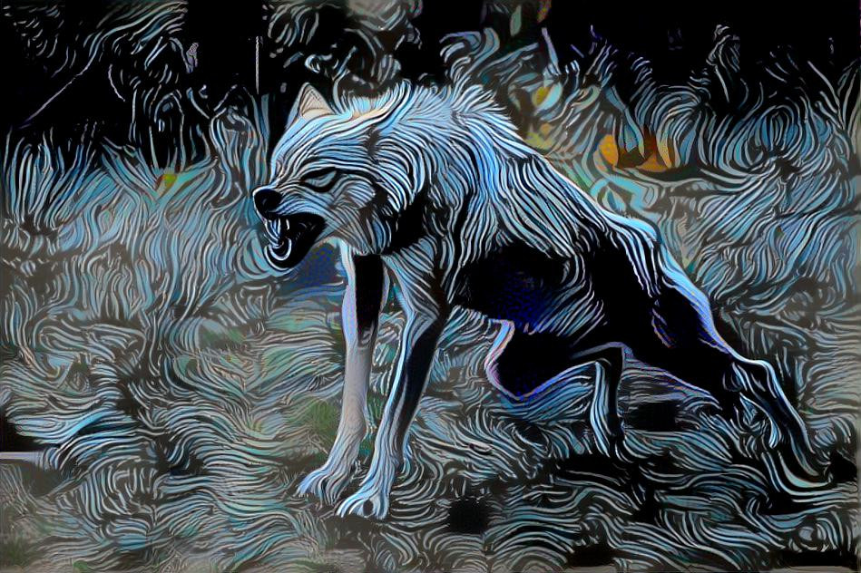 wolf boi