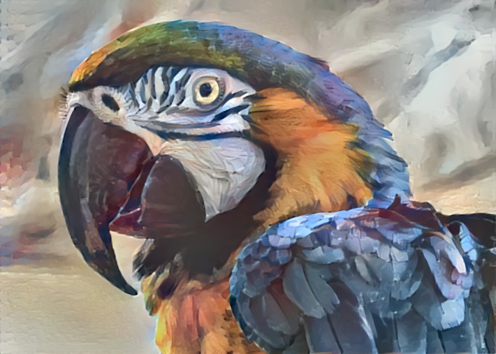 Macaw Portrait