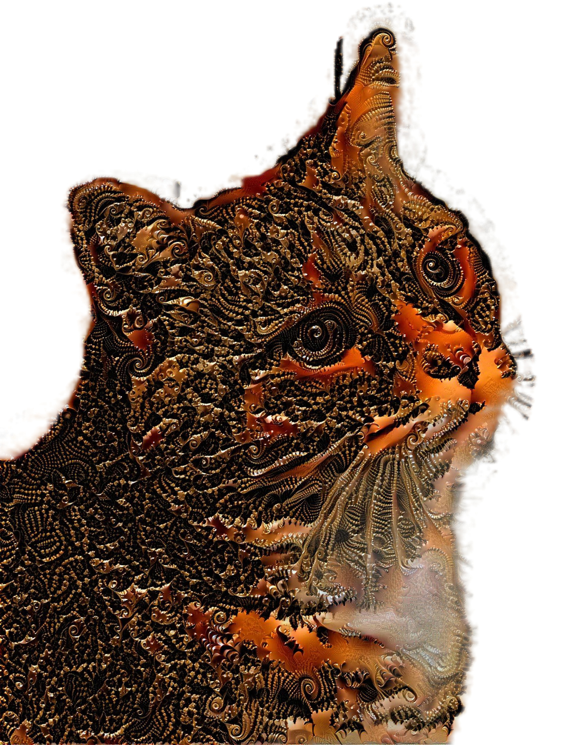 5mp fractal kitty