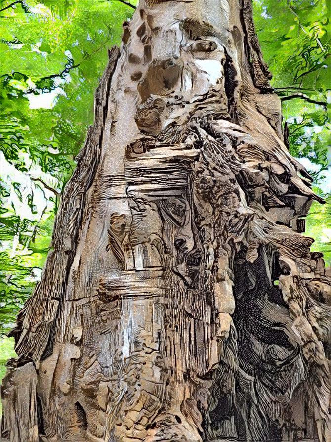 Gnarly Tree Trunk #1