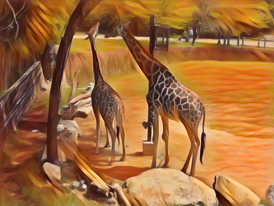 Giraffe Couple