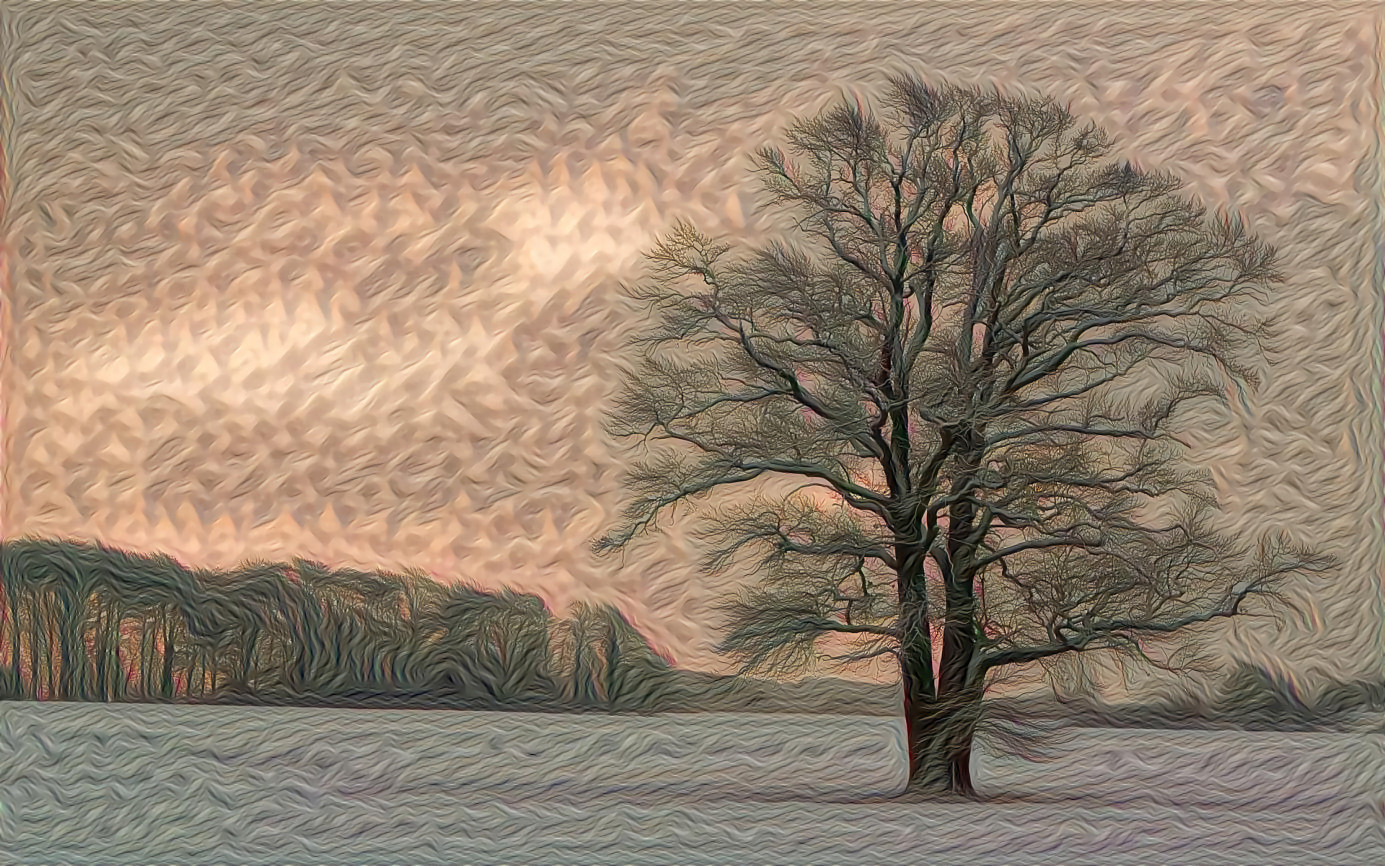 Winter Trees