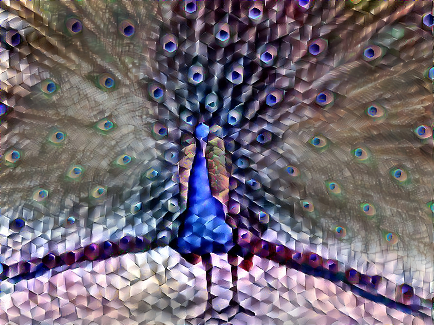 PEACOCK