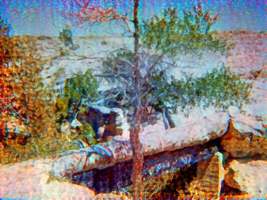 Petrified Los Bridge in Petrified Forest