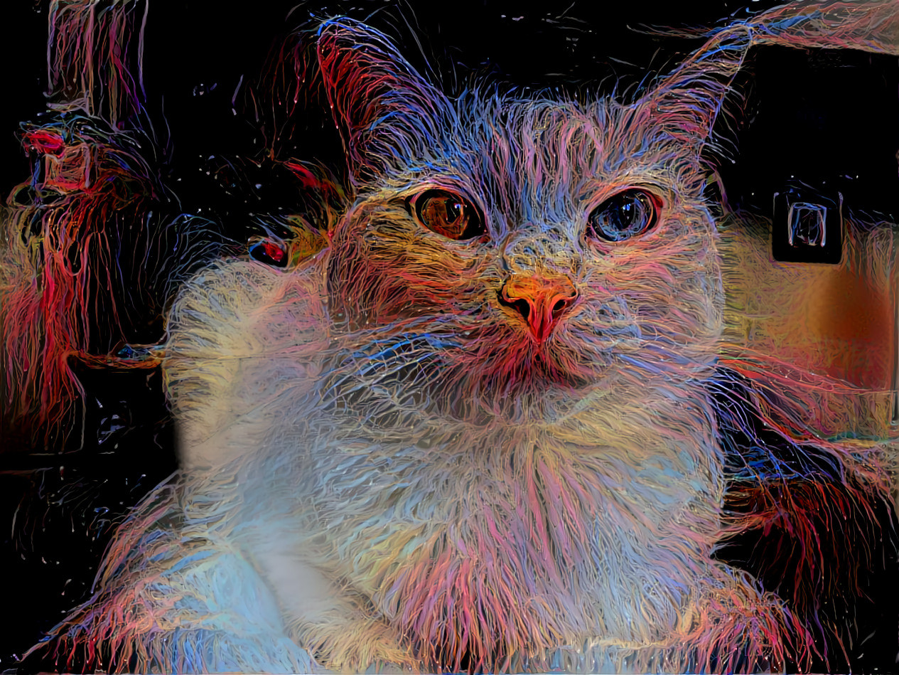 Cats of Deep Dream 