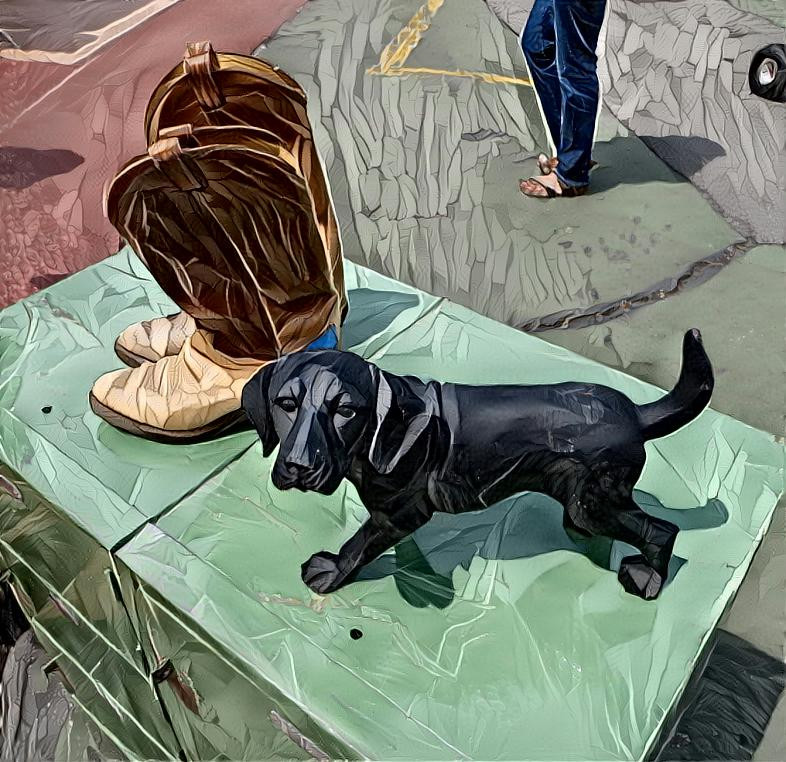 Dog at a Flea Market- photo Deb Berk