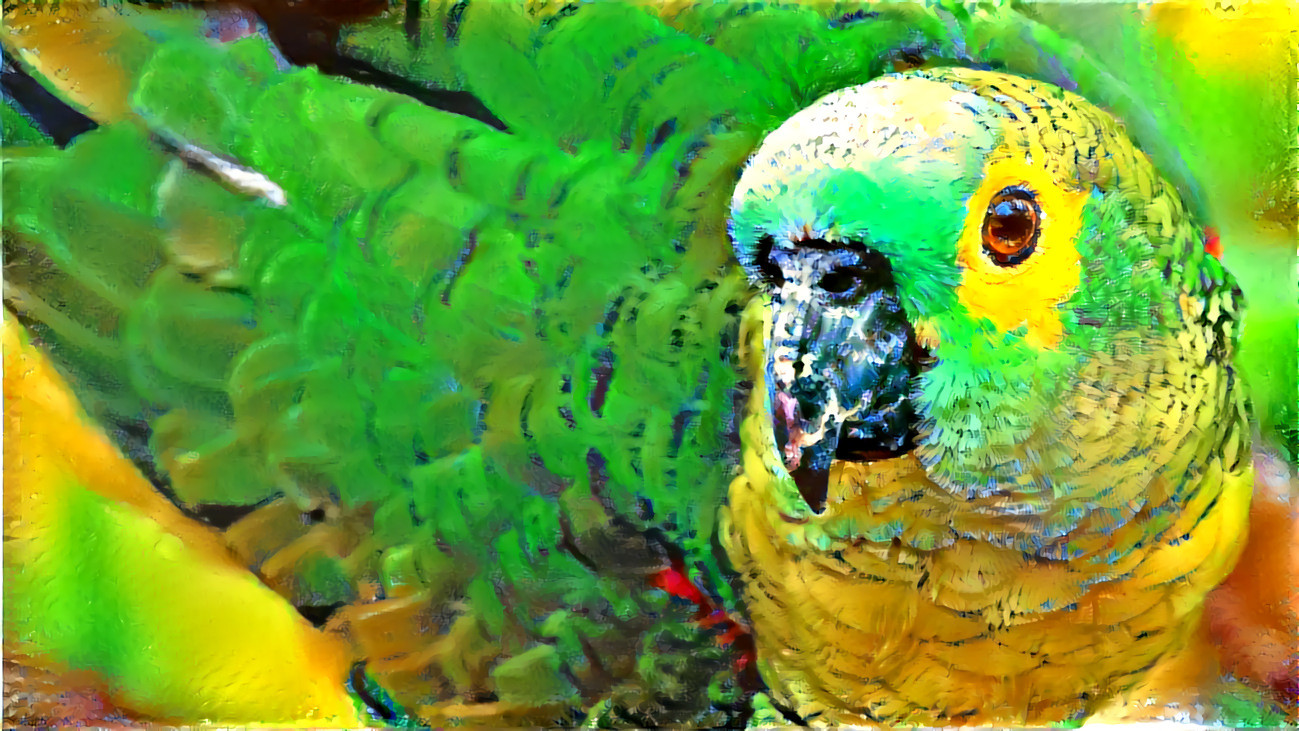 Green-Bird-Beautiful parrot 4