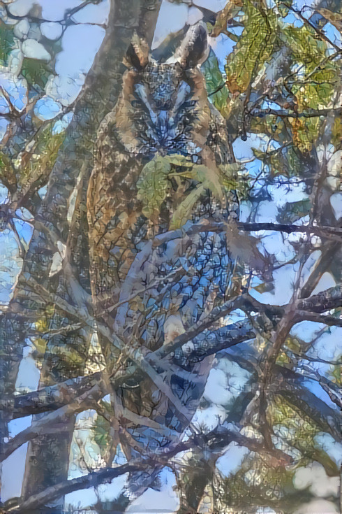 Owl in a tree