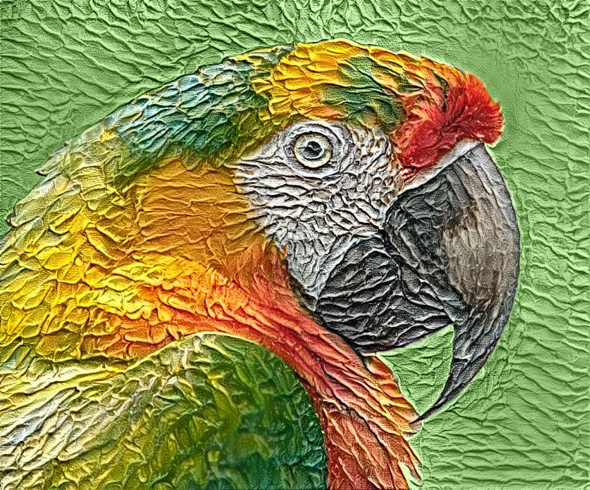 Deep Dream: Parrot 