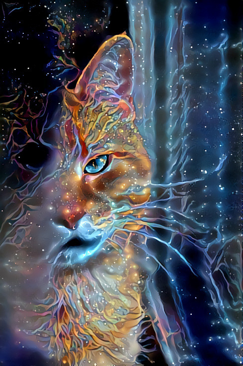 Cosmic Cat