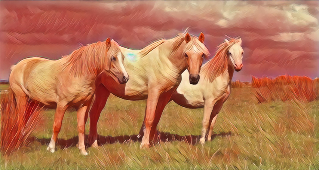 Wild Mountain Horses Wales