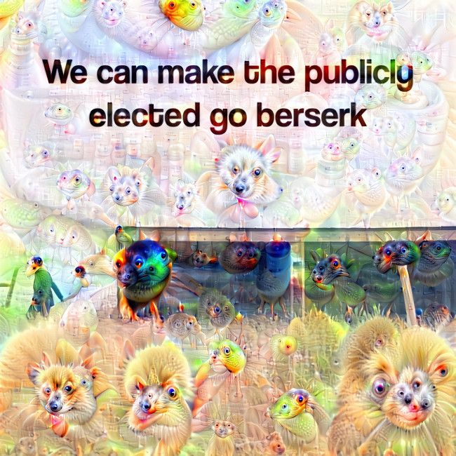 We can make the publicly elected go berserk