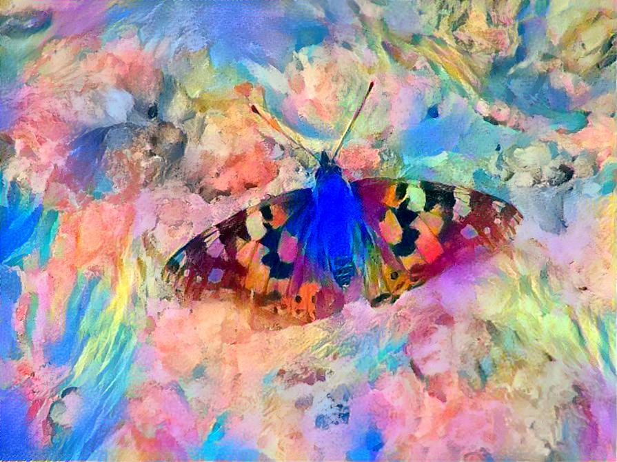 Butterfly's dream