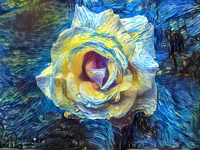 Blue Rose