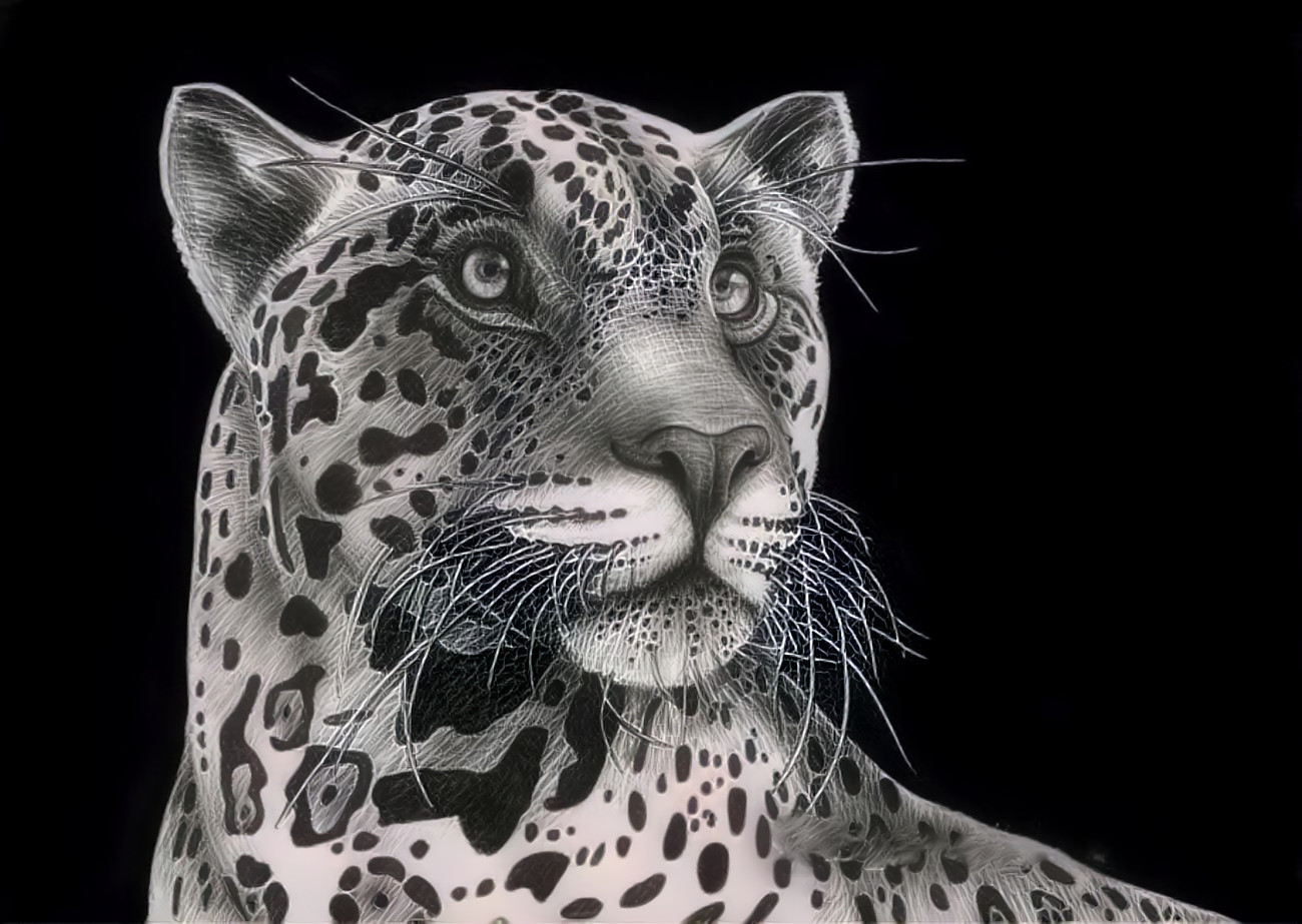 leopard ( леопард )