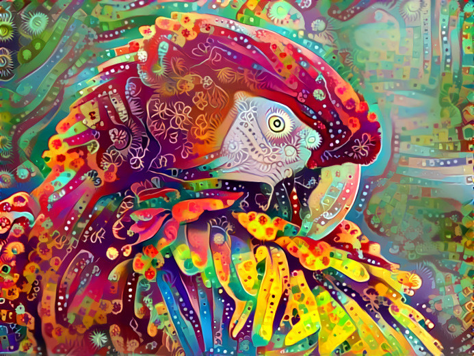 Deep Dream: Grooming Macaw