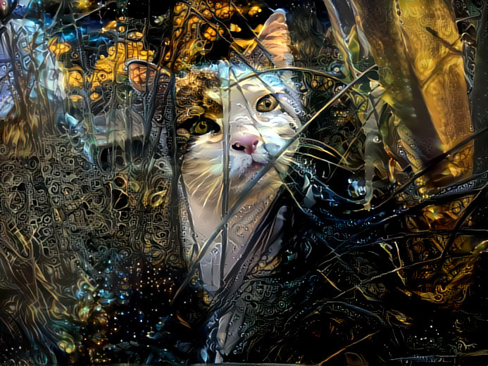 My mother's cat at the pond