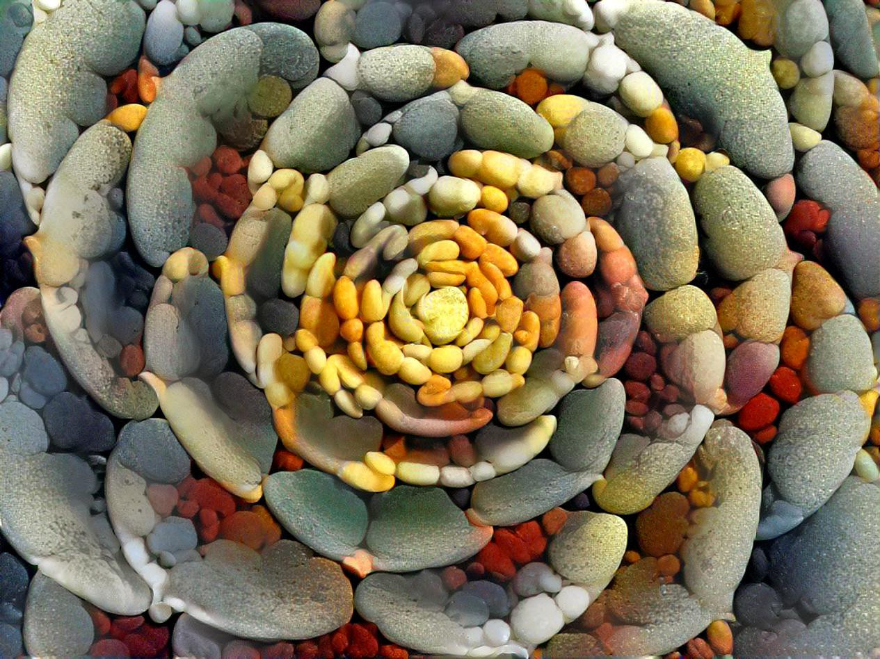 Succulent Rocks