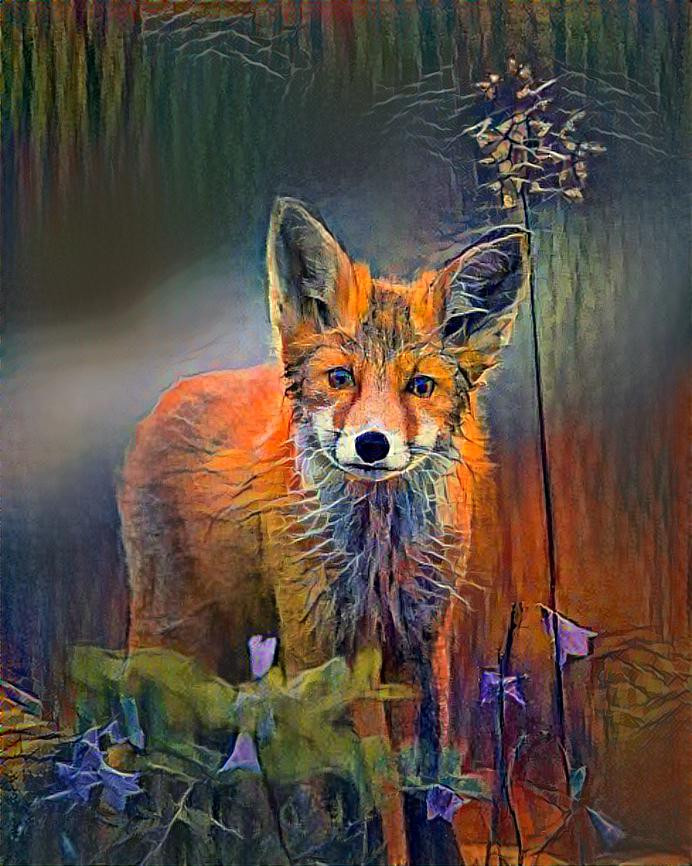 Wiley Red Fox