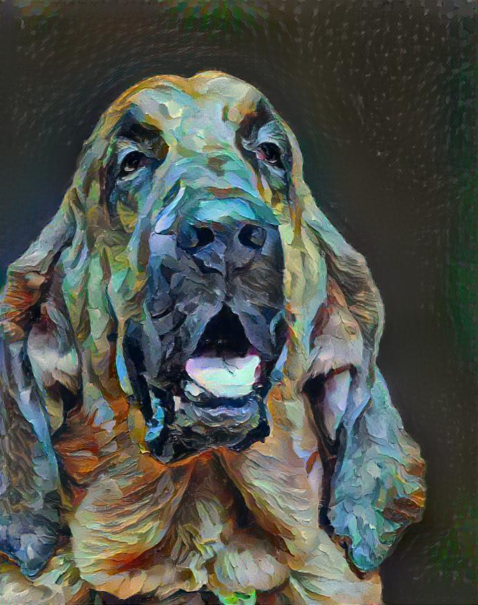 My bloodhound Bertie